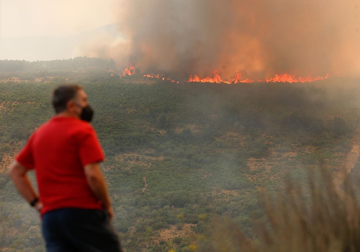 Un vecino contempla el incendio que ha saltado de Porto (Zamora) a La Baña, en la provincia de León