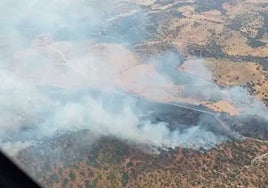 Mercedes Gómez al PP: ¿Quién tiene que estar en un incendio, un consejero o los medios de extinción?
