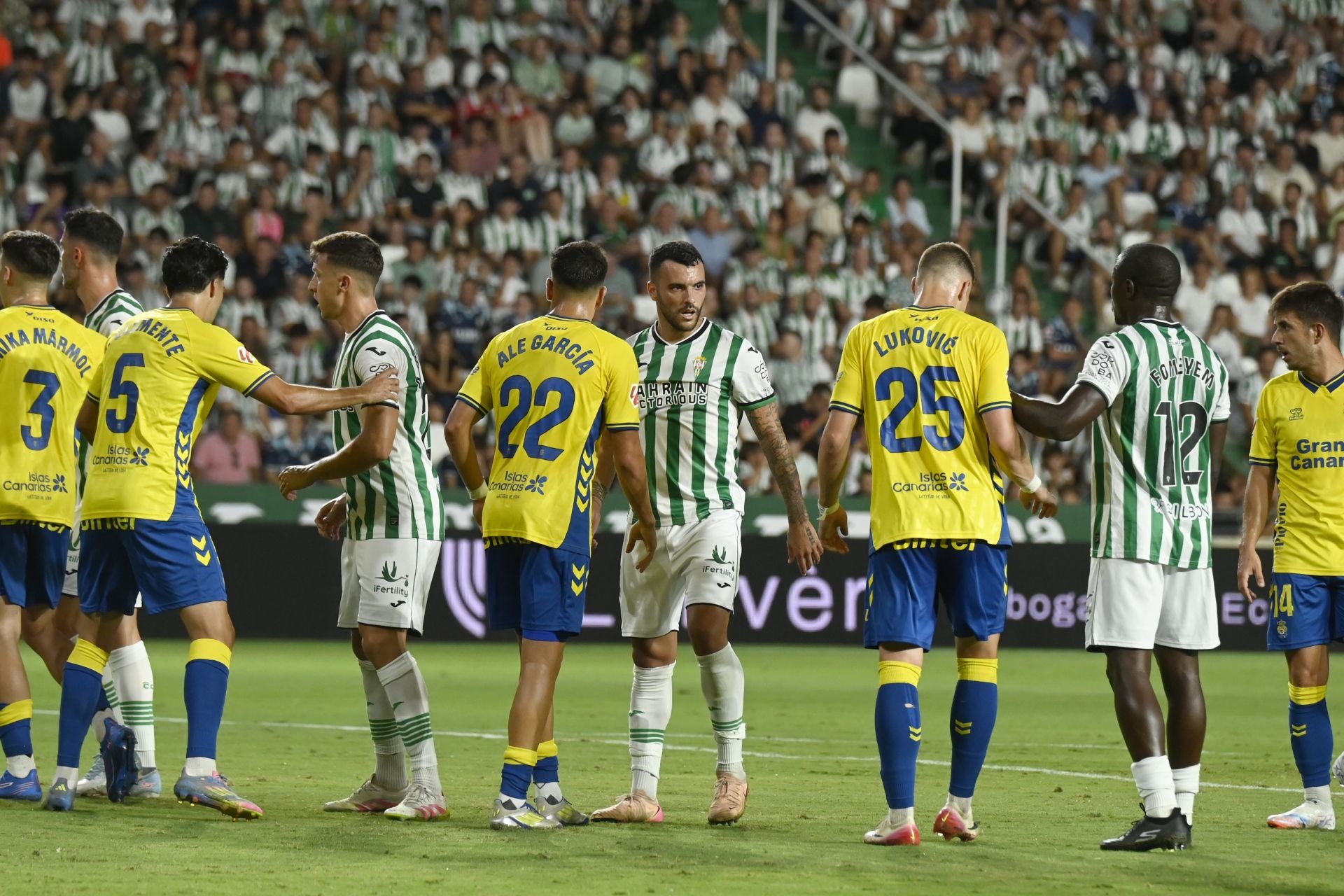 La dolorosa derrota del Córdoba ante Las Palmas, en imágenes
