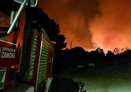 «Situación bastante más favorable» en el fuego de Zamora