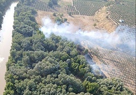 El Infoca logra estabilizar un incendio en Villa del Río