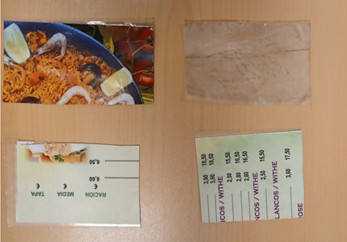 Recortes que utilizaba para abrir las puertas de los domicilios donde robaba