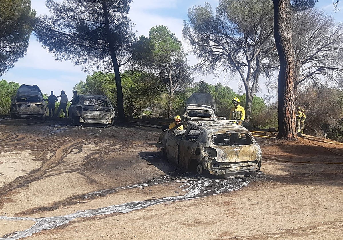 Bomberos forestales actuando tras un fuego en Madrid este mes de agosto