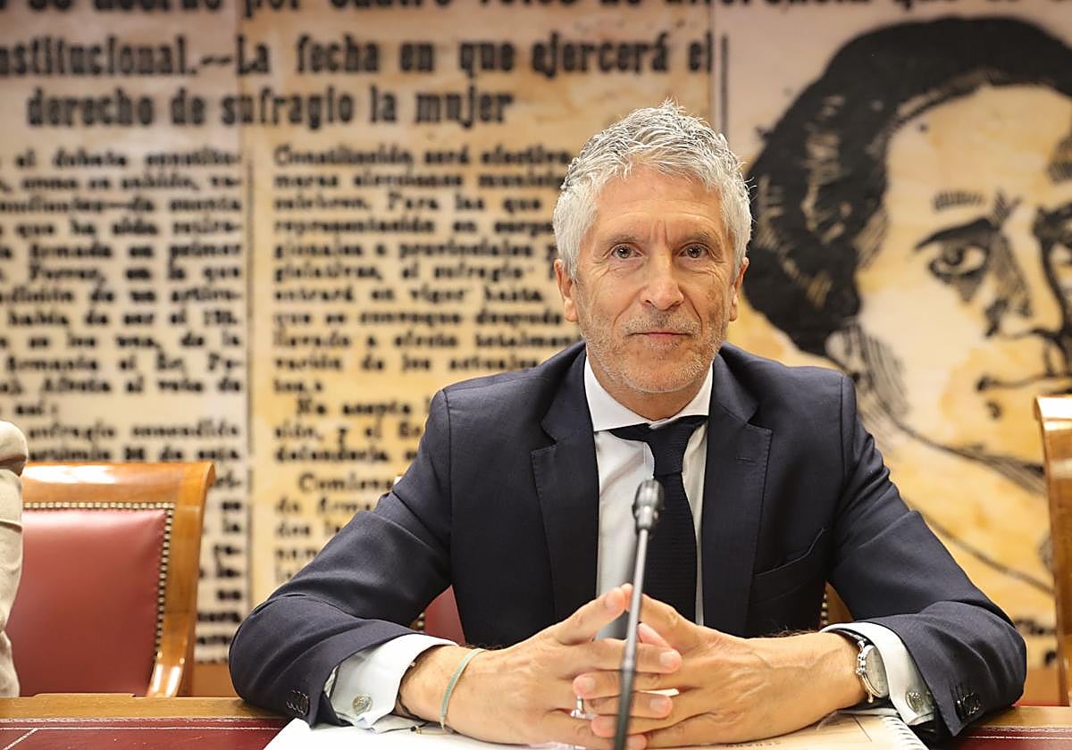 El ministro Fernando Grande-Marlaska, en el Senado