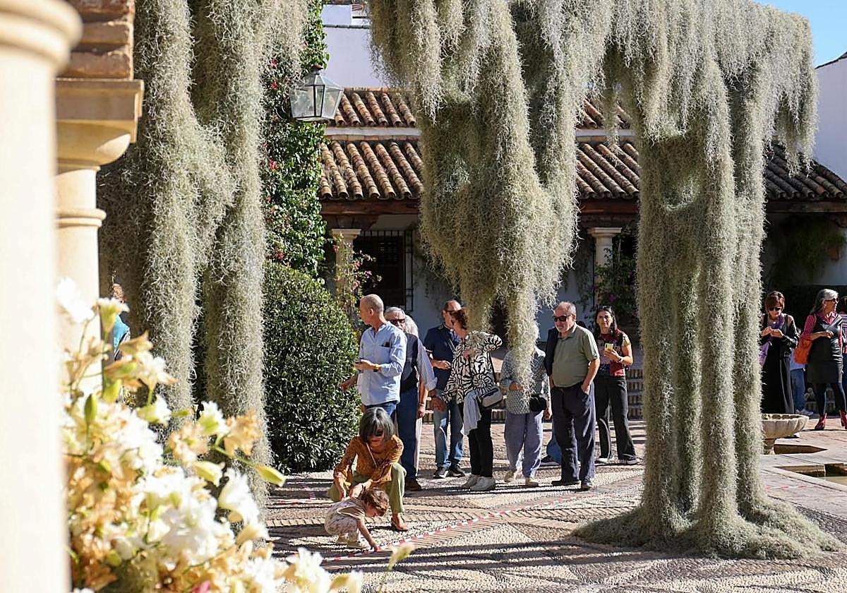 Una de las instalaciones de Flora 2024