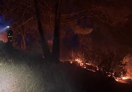 Extinguido un incendio forestal en Collado Mediano que afectó a tres viviendas