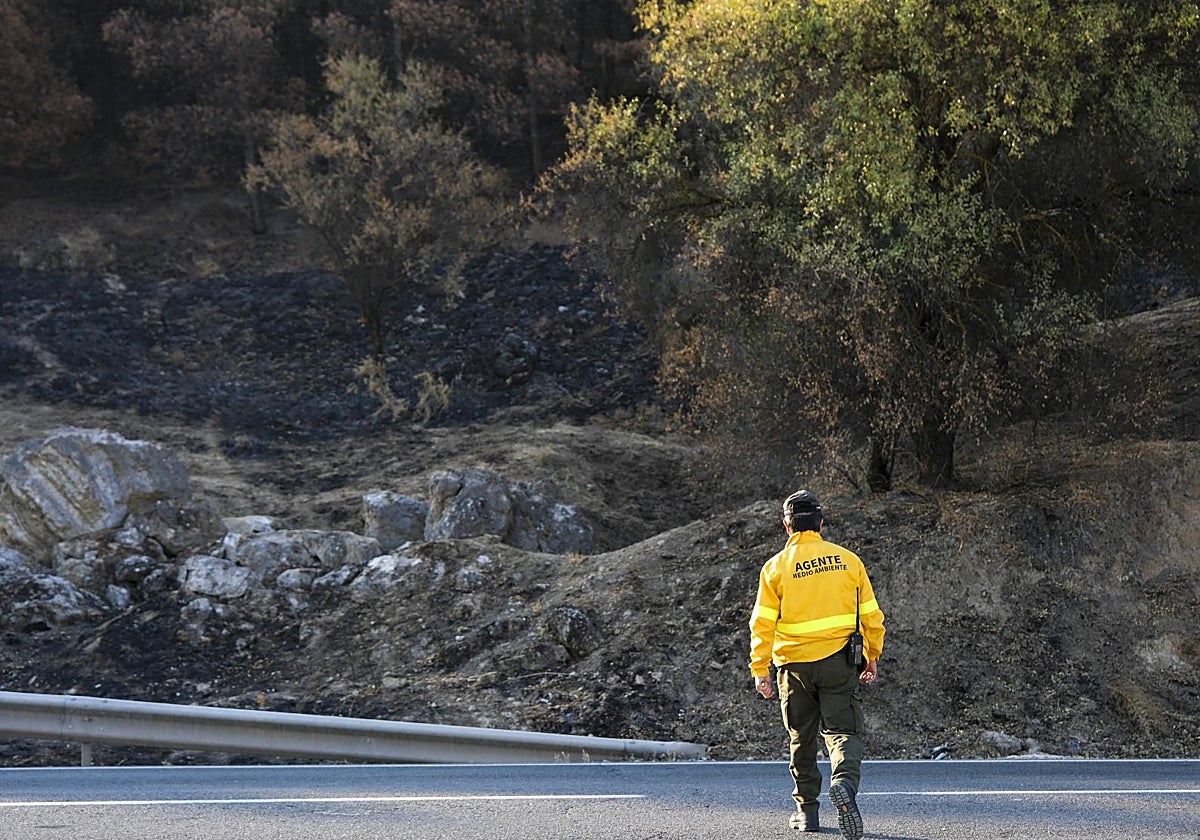 Investigación de un incendio de Málaga