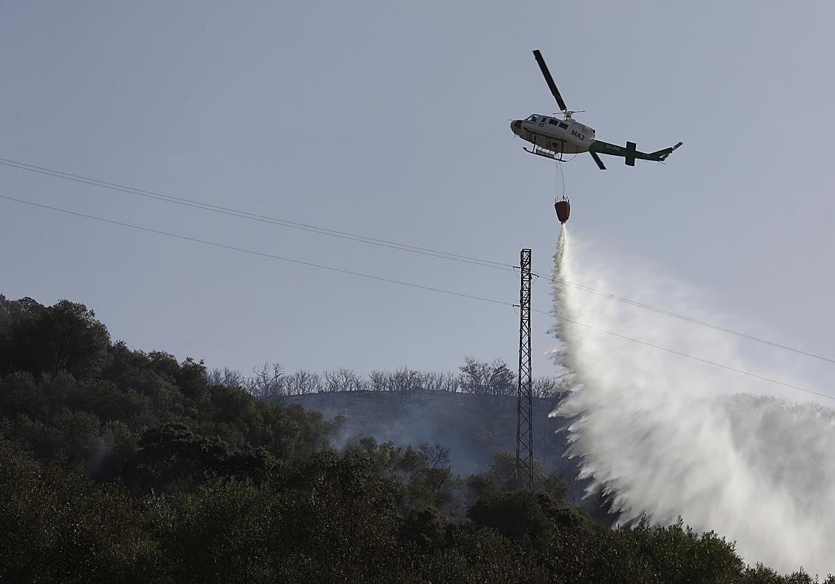 Los bomberos combaten un incendio forestal en Pedro Abad