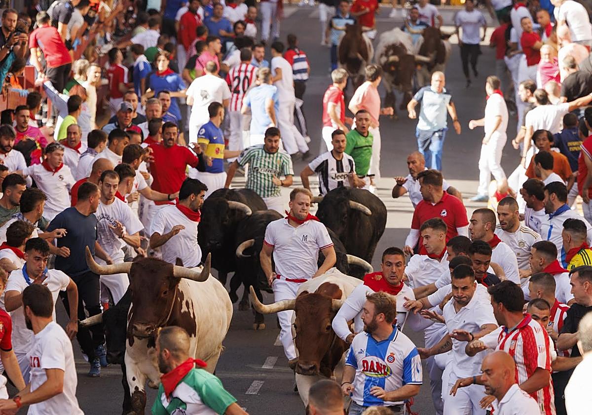 Los corredores en el séptimo encierro de las fiestas de 'Sanse'