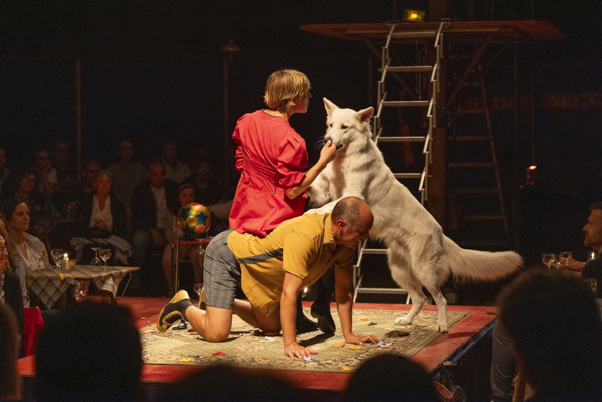 Ávila se rinde a la magia del Cir&amp;Co