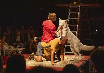 El toque francés de Cir&Co