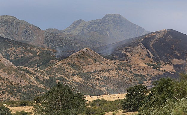 Incendio en el parque Natural Montaña Palentina