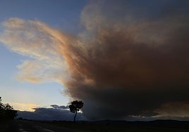 Susto en Ólvega (Soria) en una jornada 'tranquila' en la que la Castilla y León rebaja a nivel 0 todos sus incendios