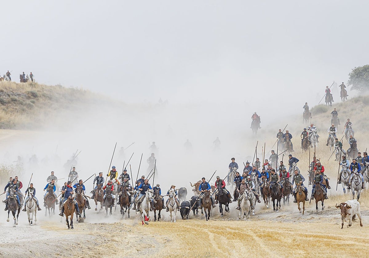 Primero de los encierros de Cuéllar, Segovia