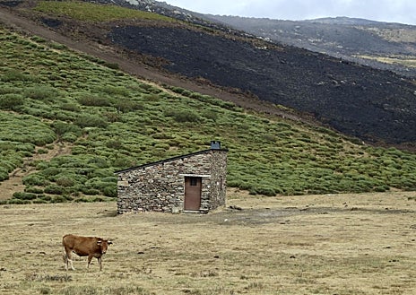 Imagen secundaria 1 - Sobre estas líneas, panorámica de Puebla de Sanabria; zona afectada en el término municipal de San Martín de Castañeda por el fuego de Porto que amenazó Sanabria y Suso Chimeno, al frente de la Asociación de Hostelería de Sanabria