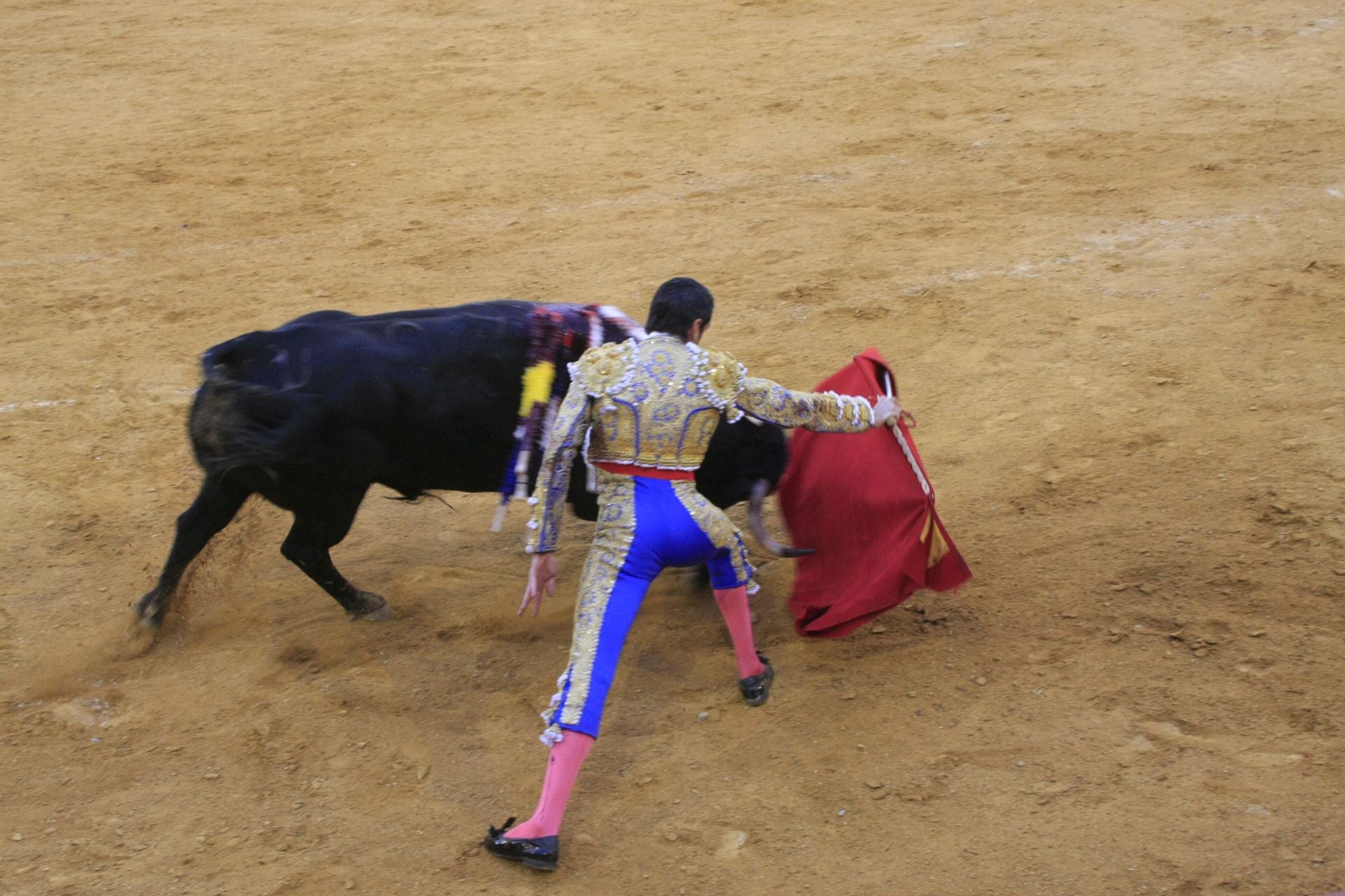 La gran corrida de toros de Priego, en imágenes