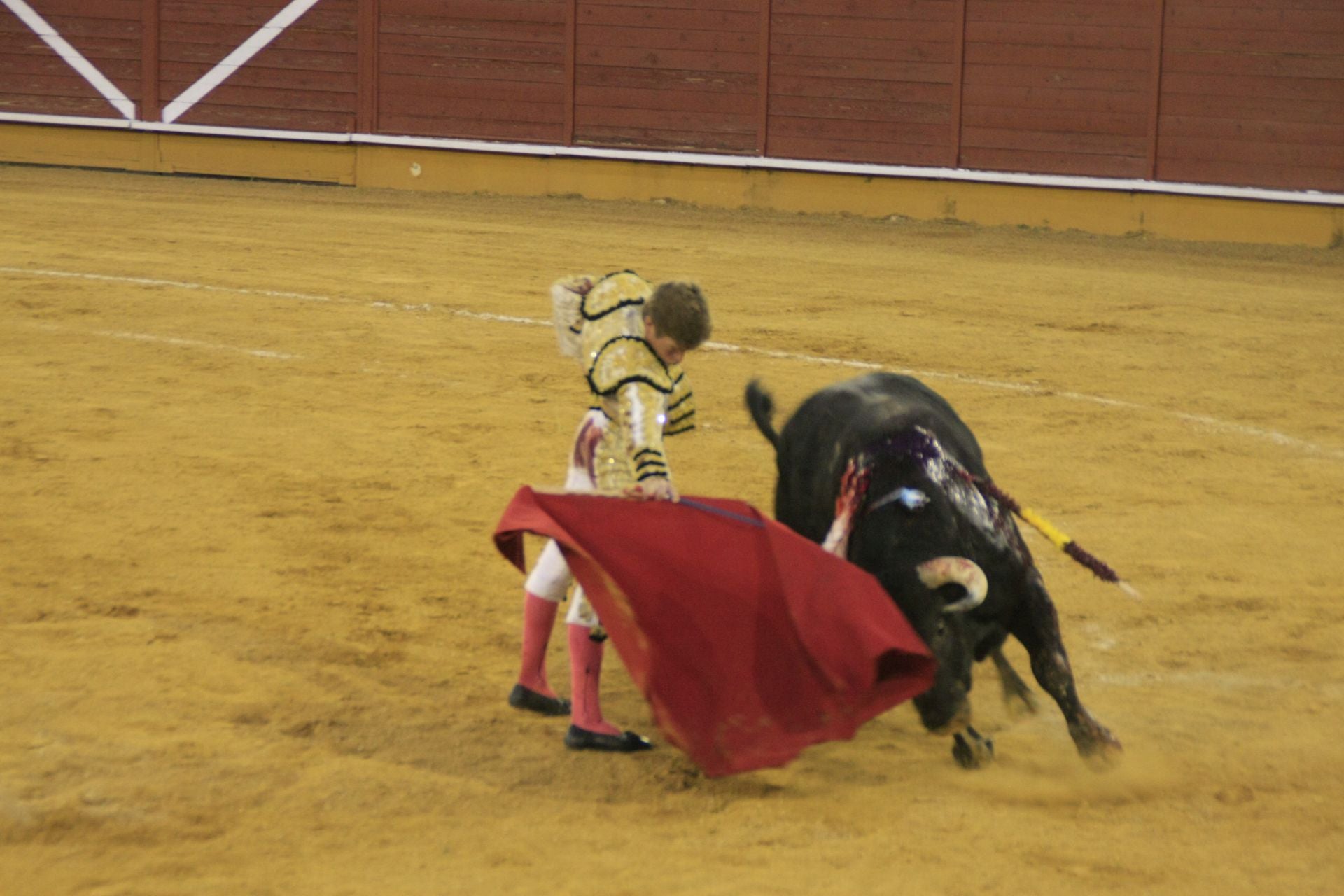 La gran corrida de toros de Priego, en imágenes