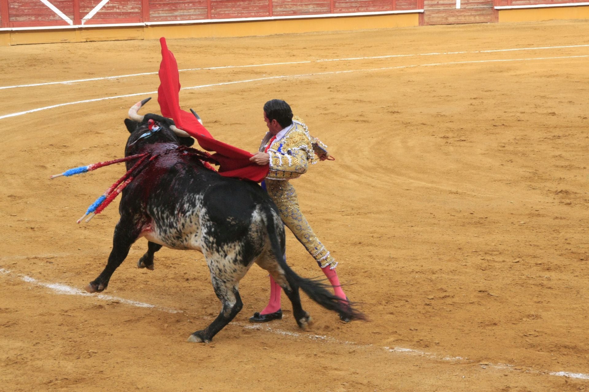 La gran corrida de toros de Priego, en imágenes