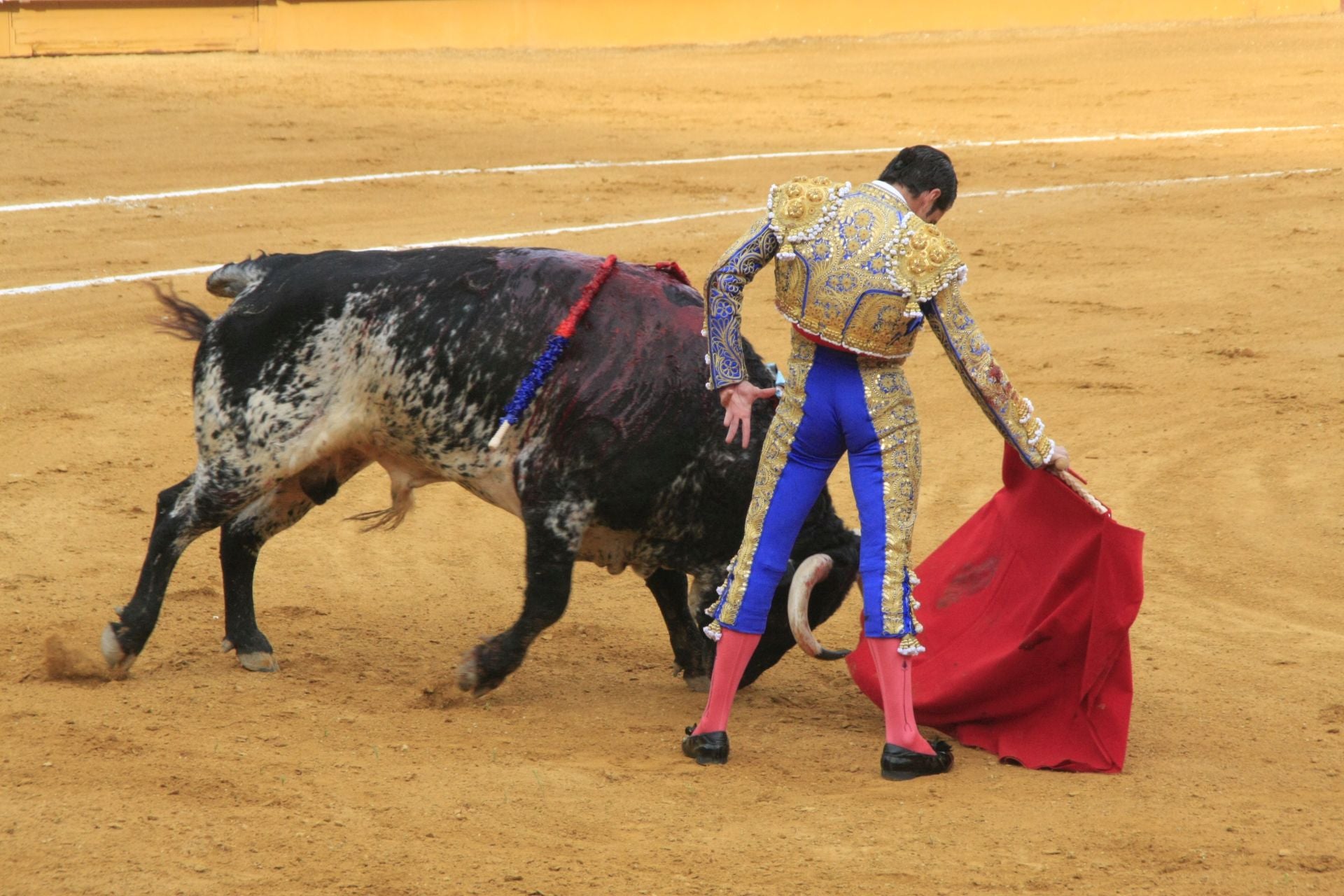 La gran corrida de toros de Priego, en imágenes
