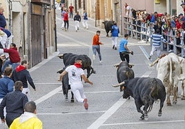 Tres heridos en el tercer encierro de Cuéllar