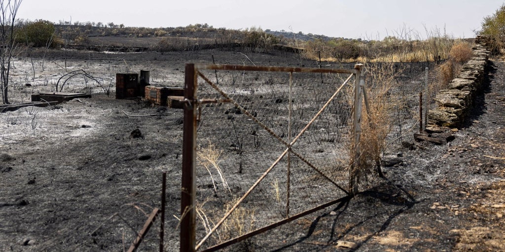 Castilla-La Mancha registra un 30% más de incendios forestales que en 2024, pero reduce un 42% la superficie afectada