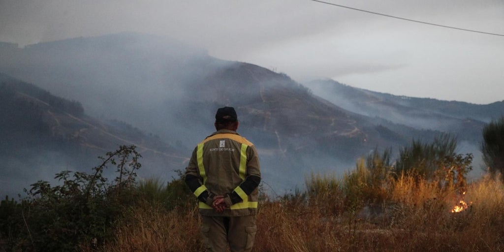 Los expertos urgen a repensar la gestión del monte: «Si no huele a madera, olerá a humo»