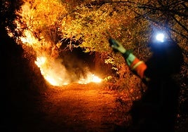 Detenidas dos personas por 17 incendios forestales provocados en Vilalba (Lugo)
