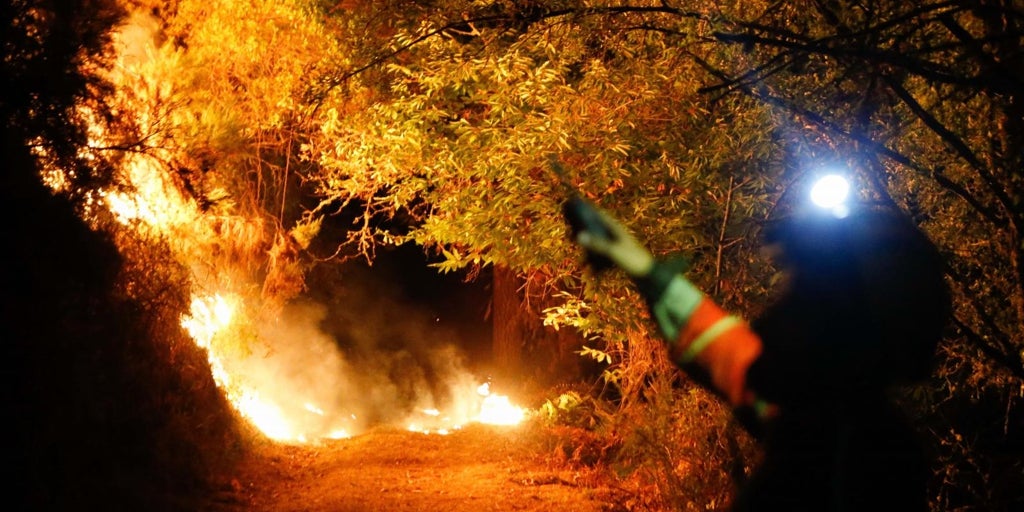 Detenidas dos personas por 17 incendios forestales provocados en Vilalba (Lugo)