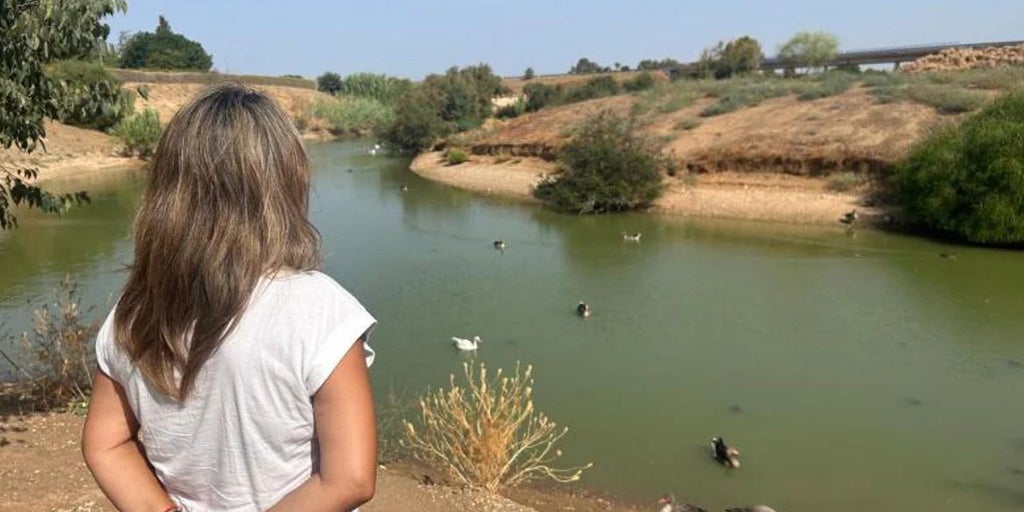 La Junta activa por primera vez el protocolo de gripe aviar en un parque urbano por las aves muertas de Sevilla