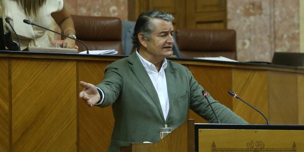 El PSOE solicita una comisión de investigación sobre incendios en el Parlamento andaluz