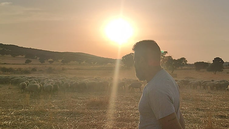 Los ganaderos afectados por la lengua azul en Córdoba: «Es un problema muy grande, pedimos que nos guíen y ayudas ya para seguir adelante»