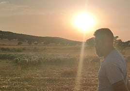 Los ganaderos afectados por la lengua azul en Córdoba: «Es un problema muy grande, pedimos que nos guíen y ayudas ya para seguir adelante»