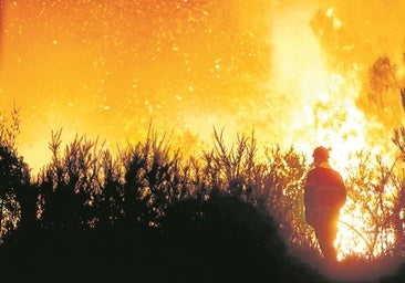 La agencia de Emergencias, una 'ocurrencia' de Sánchez que «llega tarde»