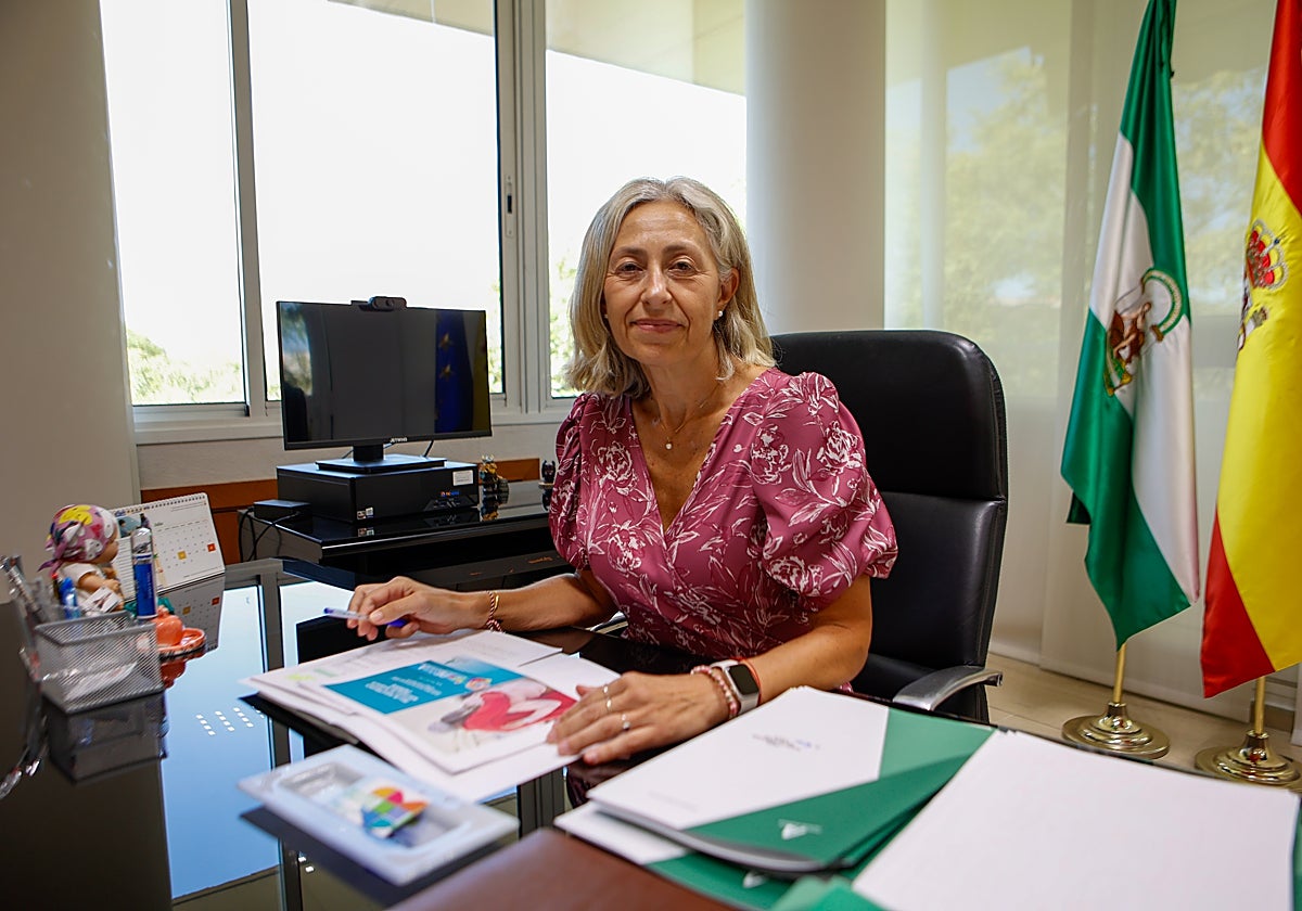 La consejera, en su mesa de trabajo