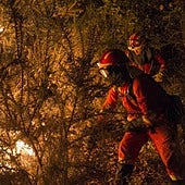 Galicia pedirá una base estable de la UME y fondos europeos para la lucha y prevención de los incendios