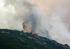 Detenido el responsable de dos incendios forestales de Belmonte de Miranda (Asturias)