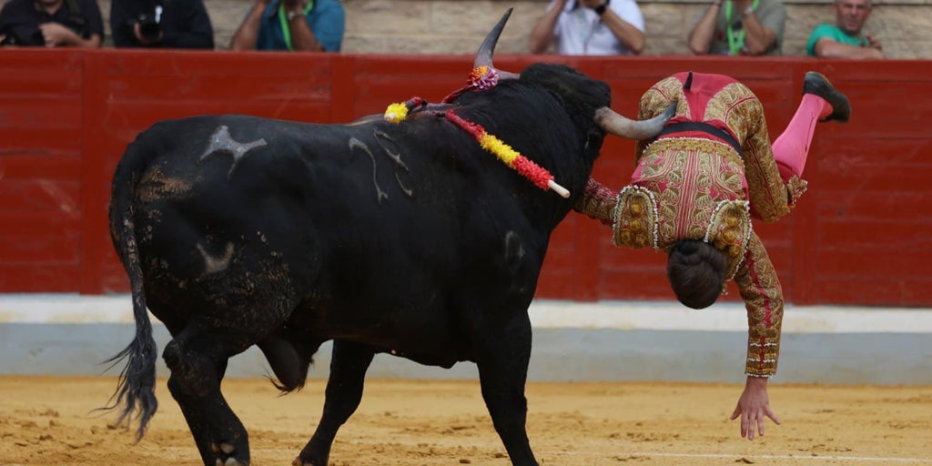 El novillero portugués Joao D'Alva sufre una cornada de 10 centímetros en el 'Alfarero de Oro' de Villaseca de la Sagra