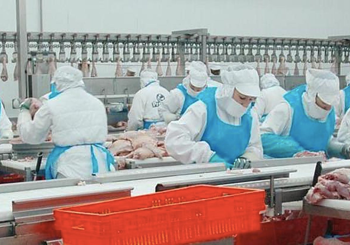 Factoría dedicada a la carne de pavo