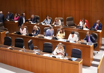 Las Cortes de Aragón comienzan el curso político con un minuto de silencio en memoria de Javier Lambán