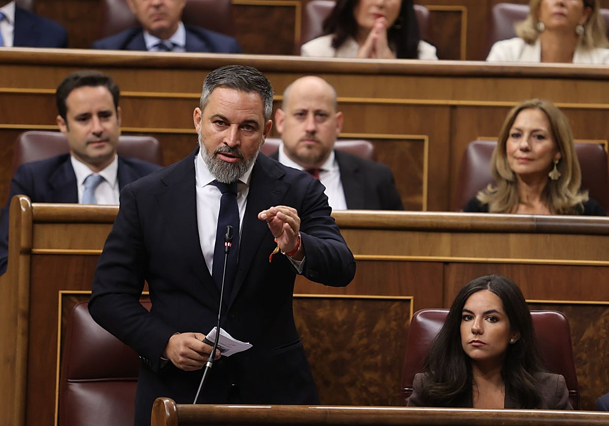 Santiago Abascal y Pepa Millán, en la sesión de control al Gobierno de este miércoles