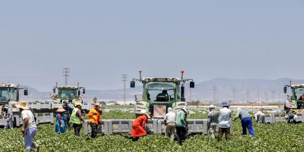 El Gobierno regional destina 16,4 millones de euros, en actual período de la PAC, a las ayudas de Apicultura para la mejora de la biodiversidad