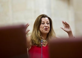 Educación exige al Gobierno de España que acabe con «el agravio» de los auxiliares de conversación y los retome en Andalucía