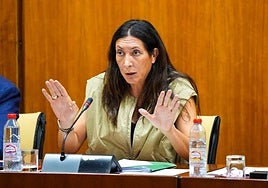 La Junta rechaza el reparto de migrantes del Gobierno porque «el interés del menor es el menor de los intereses de Sánchez»