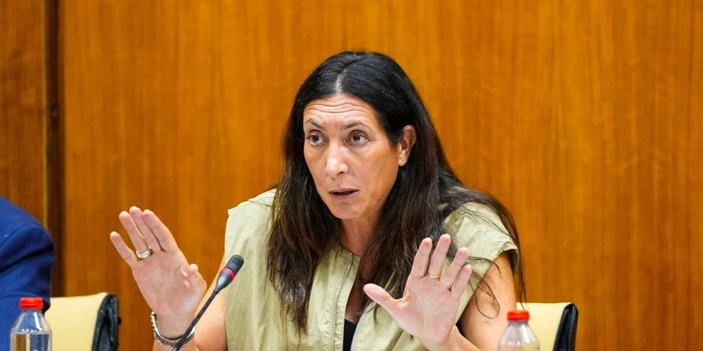 La Junta rechaza el reparto de migrantes del Gobierno porque «el interés del menor es el menor de los intereses de Sánchez»