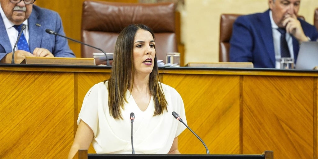 El Parlamento rechaza la propuesta de Vox para cerrar los centros de menores migrantes