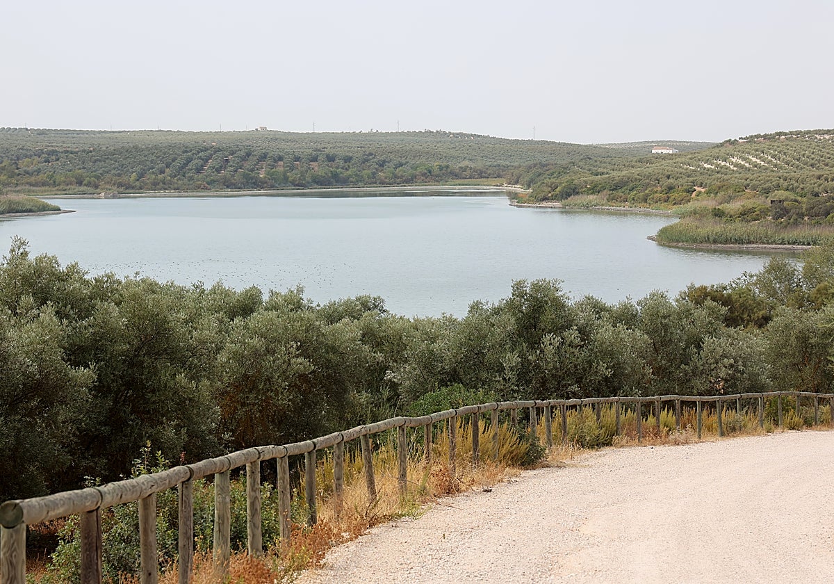 Laguna de Zóñar, donde han aparecido aves muertas