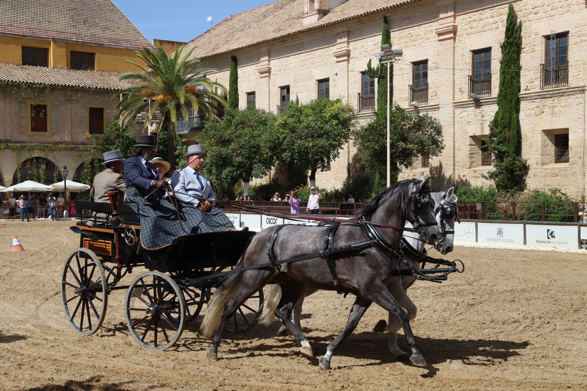 En imágenes, el X Concurso Internacional de Atalaje de Tradición en Córdoba