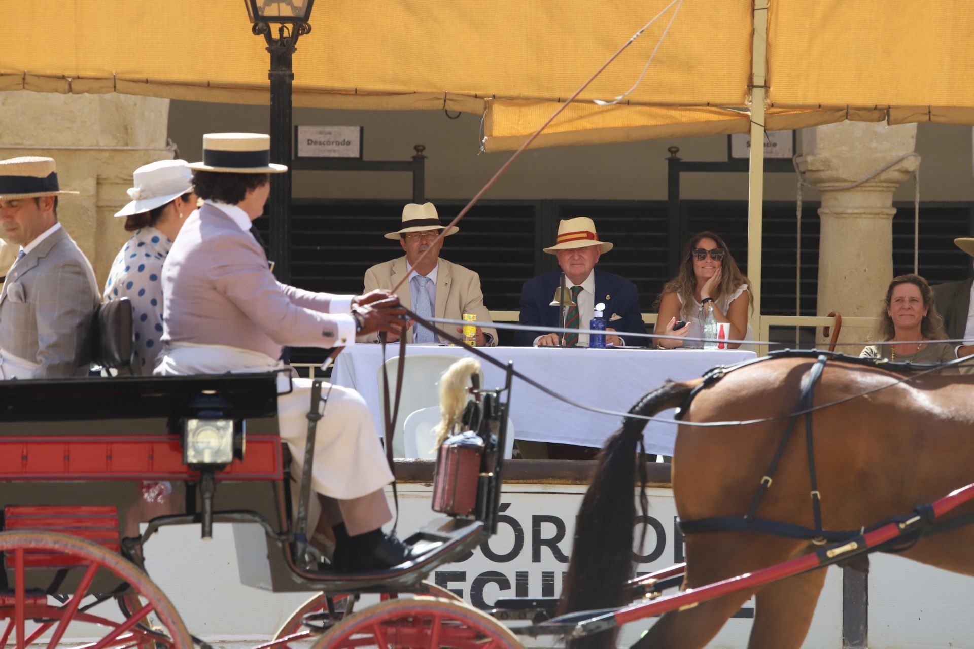 En imágenes, el X Concurso Internacional de Atalaje de Tradición en Córdoba