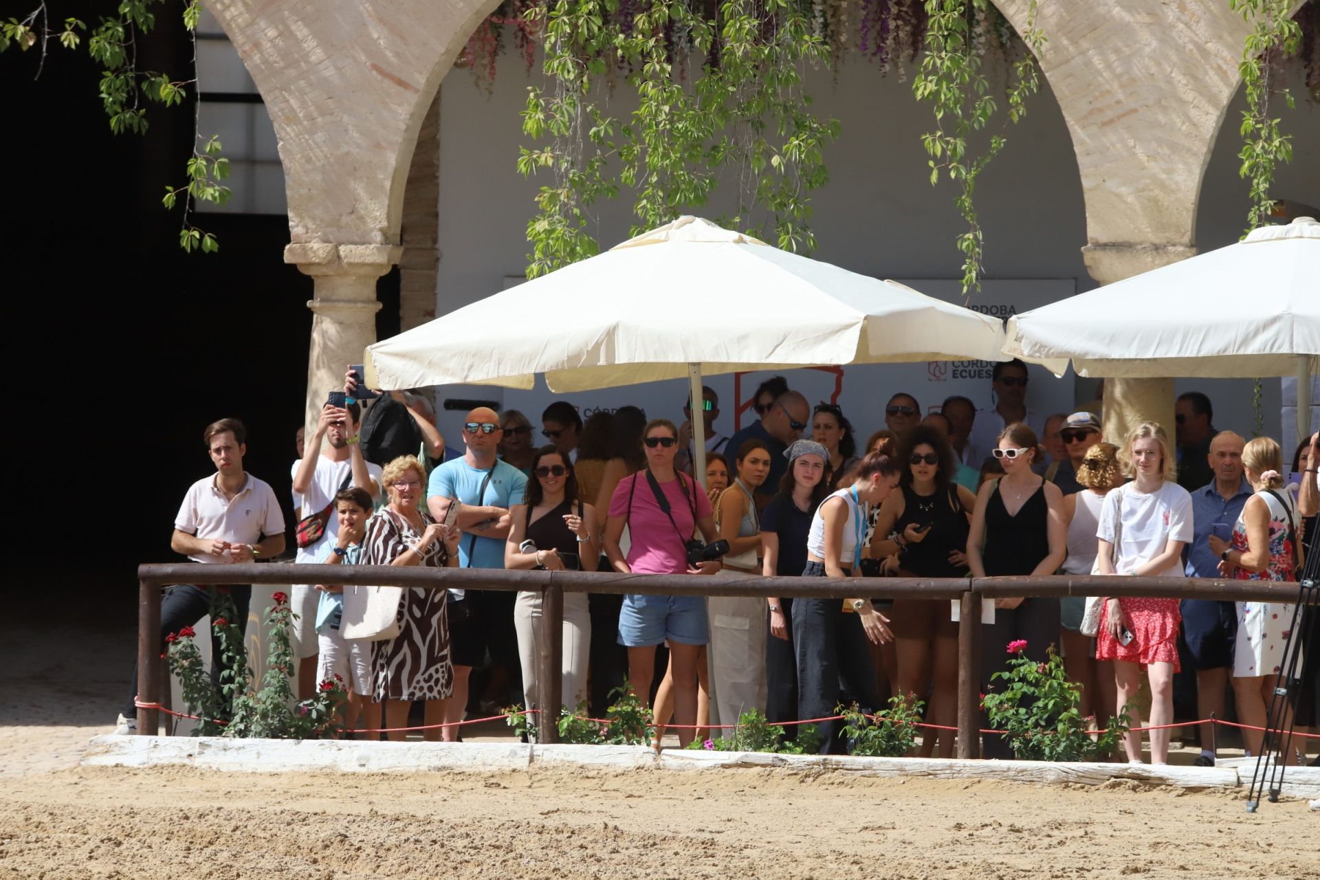 En imágenes, el X Concurso Internacional de Atalaje de Tradición en Córdoba