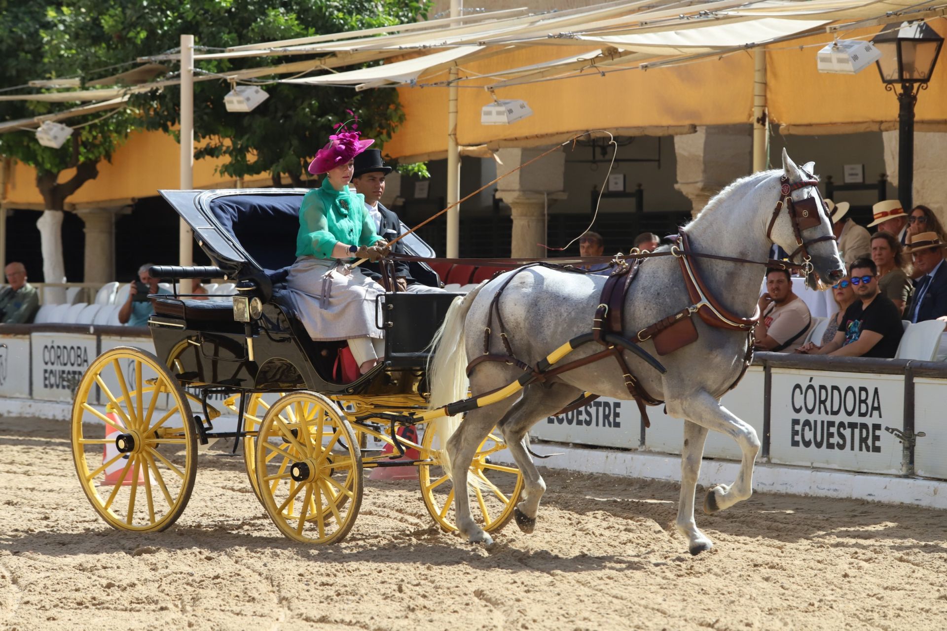 En imágenes, el X Concurso Internacional de Atalaje de Tradición en Córdoba